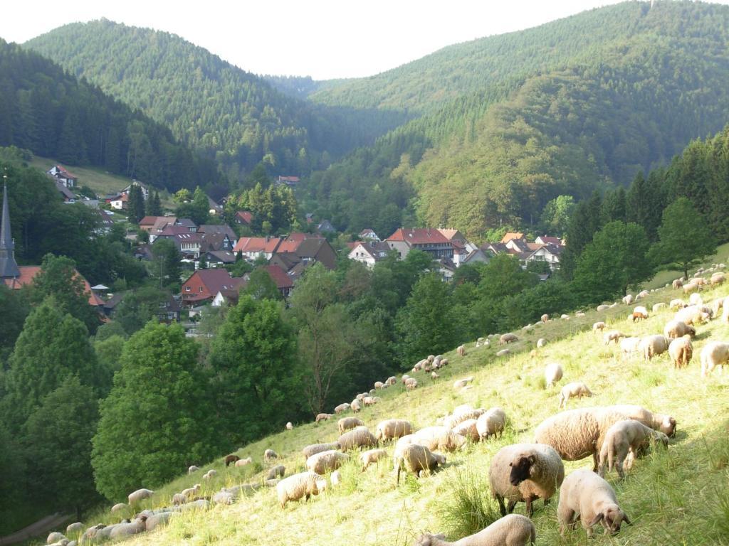 Hotel Zum Pass Sieber Bagian luar foto